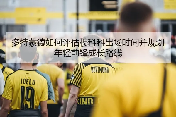 多特蒙德如何评估穆科科出场时间并规划年轻前锋成长路线